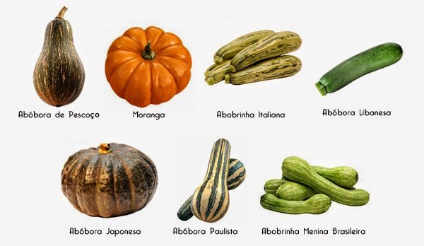 Receitas Veganas: Surpreenda-se com a Versatilidade das Abóboras - inspiração 2