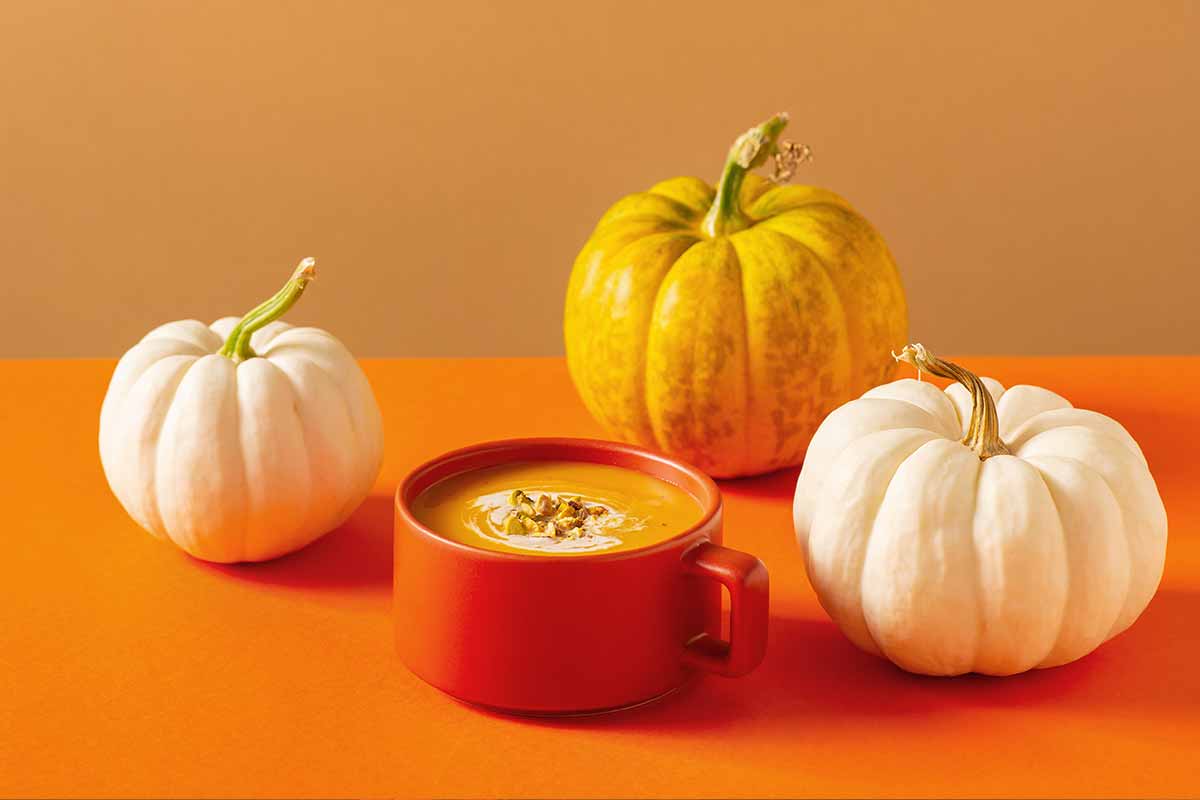 Receitas Veganas: Surpreenda-se com a Versatilidade das Abóboras - inspiração 3