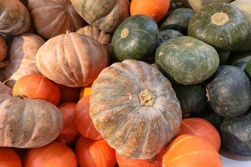 Sopas e Cremes: Qual Abóbora Deixa Seu Prato Mais Saboroso? - inspiração 2