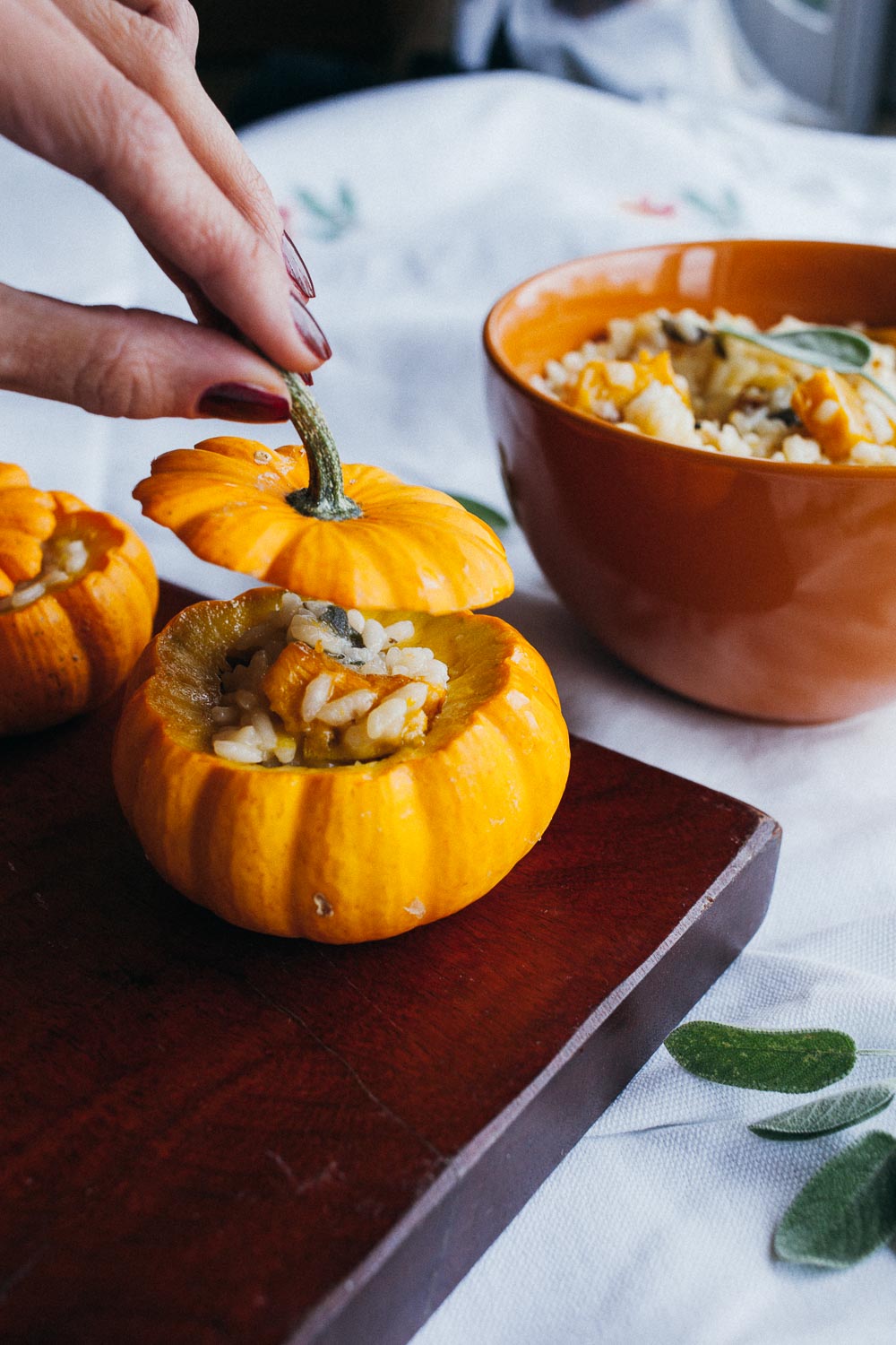 Sopas e Cremes: Qual Abóbora Deixa Seu Prato Mais Saboroso? - inspiração 3