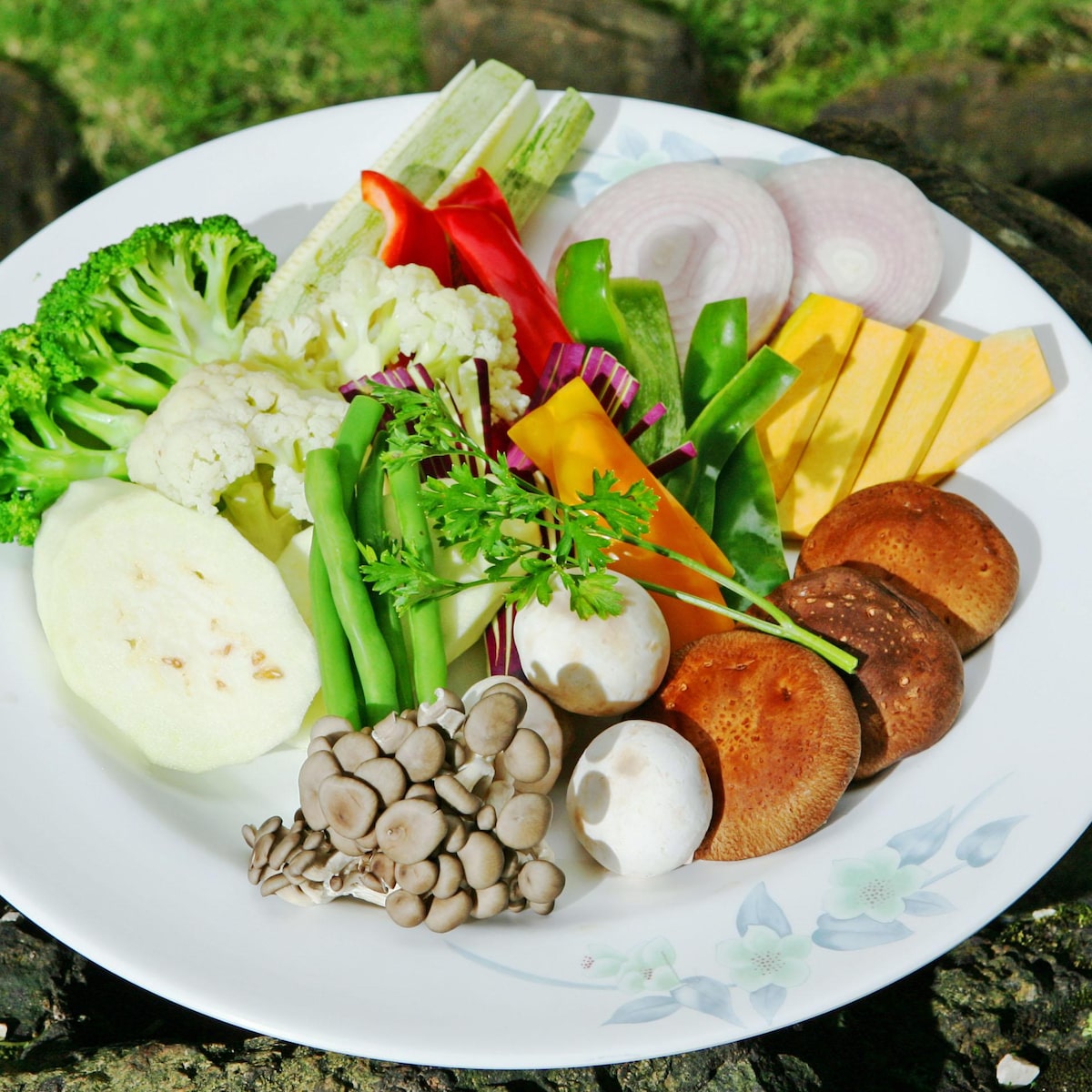 Água de Coco: Hidratação com Nutrientes Valiosos - inspiração 2