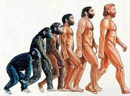 Antropologia Digital: Explorando a Vida Social Online - inspiração 1