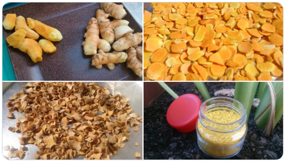 Cúrcuma em Legumes Assados: Crocância e Nutrição em Cada Garfada - inspiração 1