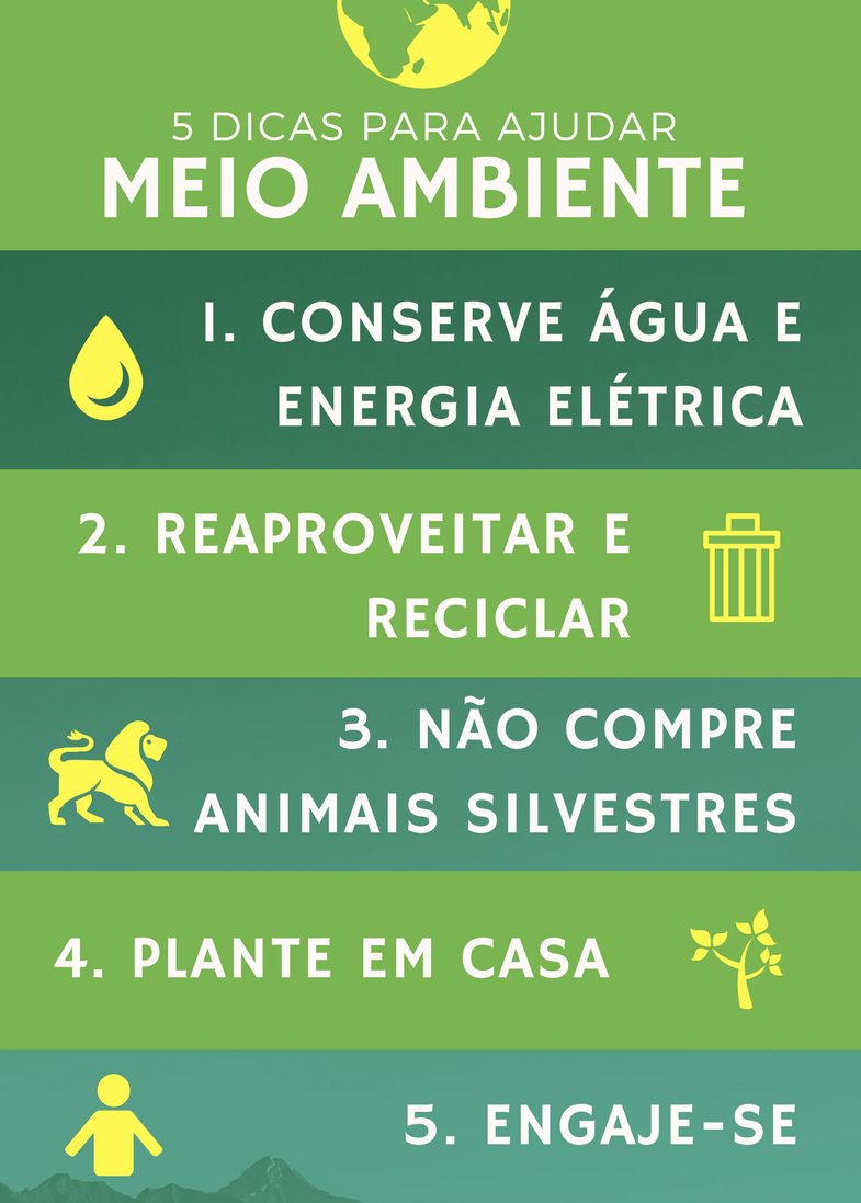 1. O Poder das Plantas: Purificadoras de Ar Naturais - inspiração 2