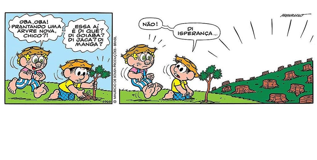 10. Ritual Diário de Gratidão pelo Seu Espaço - inspiração 2