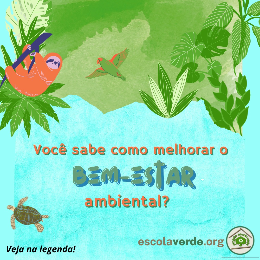 2. Luz Natural: A Chave para o Bom Humor e a Energia - inspiração 1