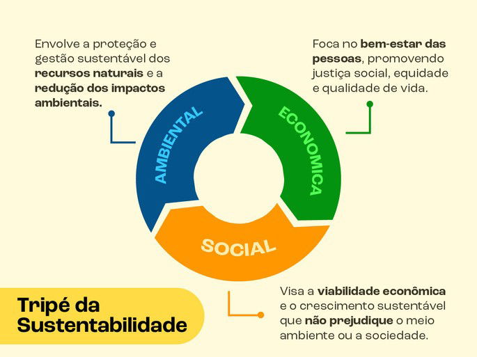 2. Luz Natural: A Chave para o Bom Humor e a Energia - inspiração 2