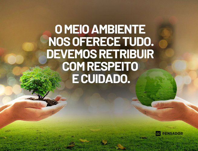 4. Minimalismo Verde: Menos é Mais para um Espaço Tranquilo - inspiração 3