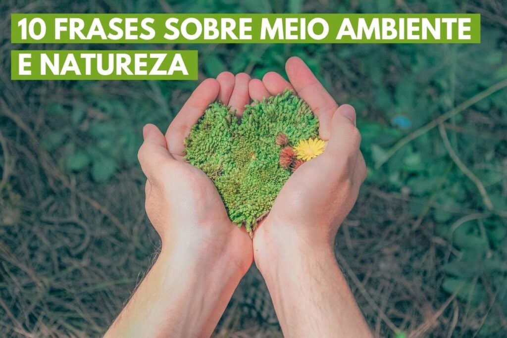 8. Cores que Curam: O Impacto Psicológico da Paleta Natural - inspiração 1