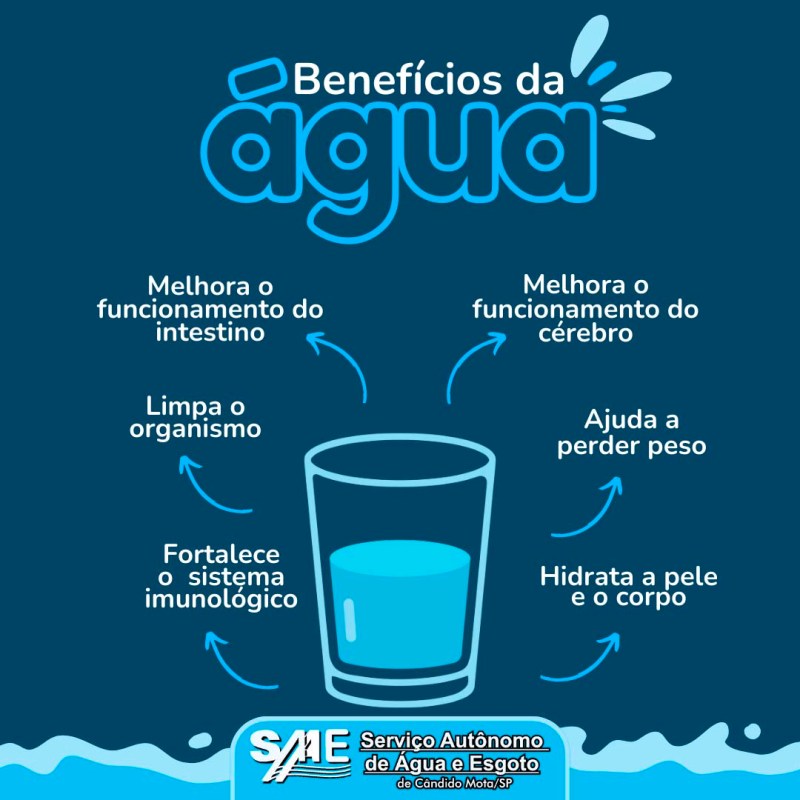 Dica #4: Blindagem Renal: Proteja Seus Rins de Pedras - inspiração 1