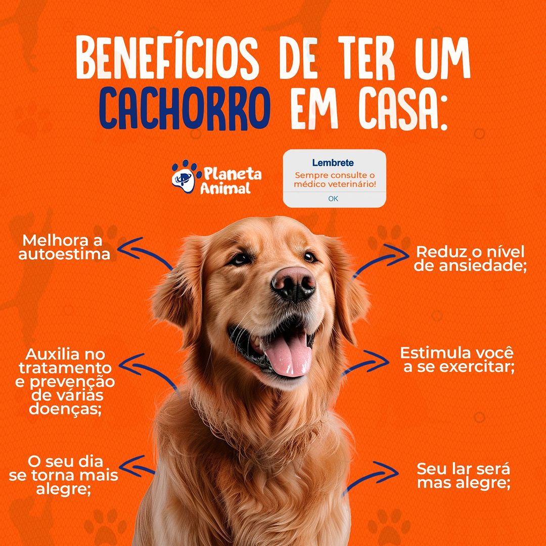 Dica #1: Reduza a Pressão Arterial com Passeios Diários - inspiração 1