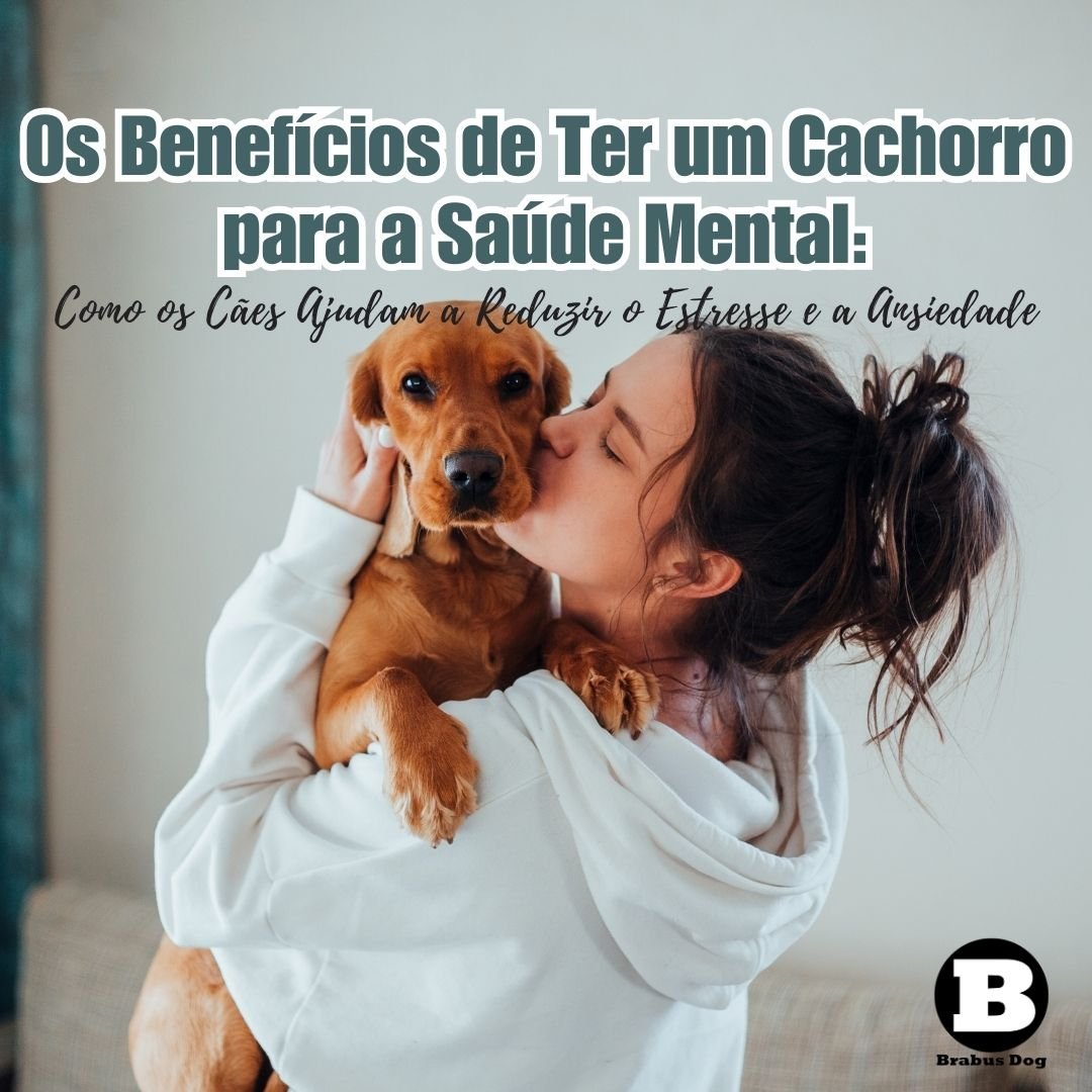 Dica #1: Reduza a Pressão Arterial com Passeios Diários - inspiração 2