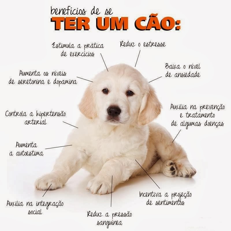 Dica #3: Combata a Ansiedade e a Depressão com uma Dose de Amor Incondicional - inspiração 2