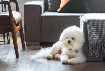 Dica #6: Fortaleça o Sistema Imunológico das Crianças e Diga Adeus às Alergias - inspiração 2