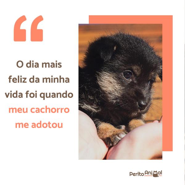 Dica #7: Desenvolva Empatia e Responsabilidade nos Pequenos - inspiração 3