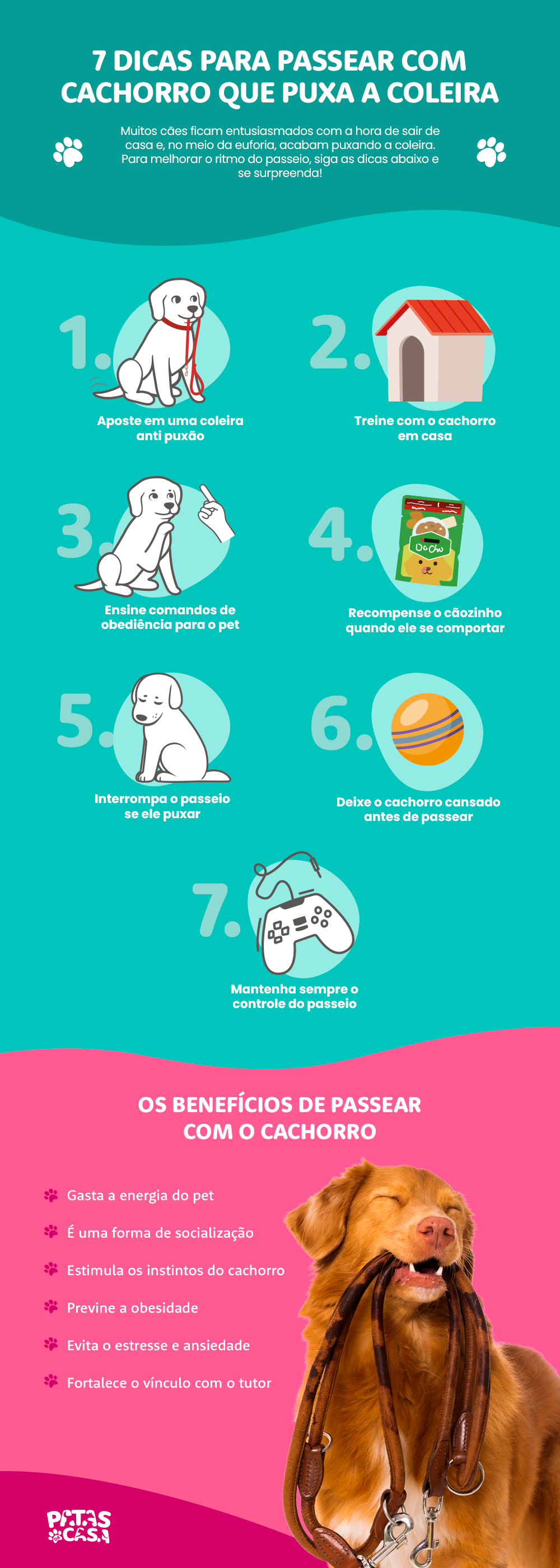 Dica #8: Diga Adeus à Solidão com um Companheiro Leal - inspiração 2