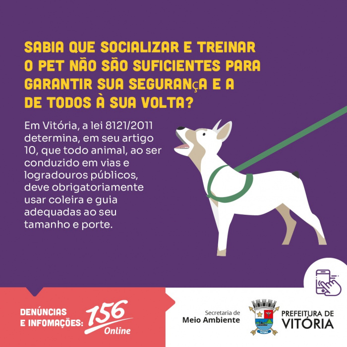 Dica #9: Alivie o Estresse e Aumente a Produção de Ocitocina - inspiração 2