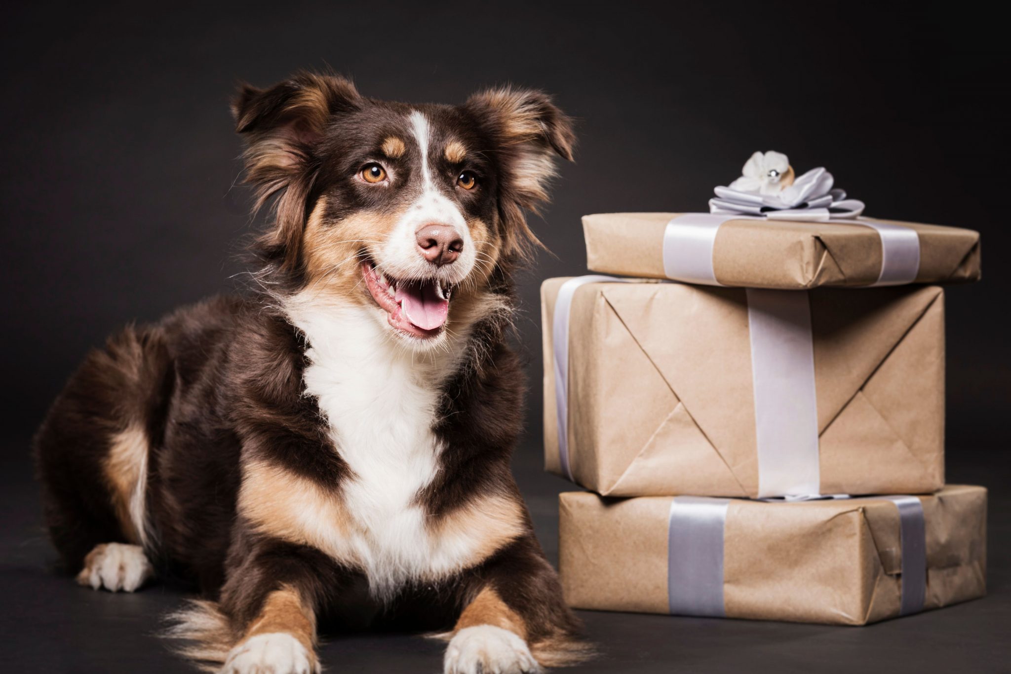 Dica #9: Alivie o Estresse e Aumente a Produção de Ocitocina - inspiração 3