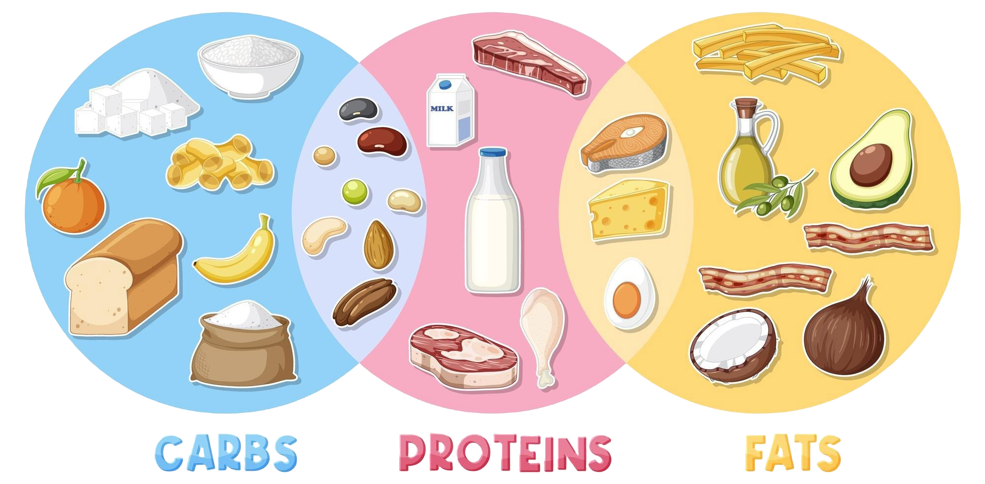 Passo 3: Defina Metas Claras: Emagrecer, Ganhar Massa ou Manter? - inspiração 3