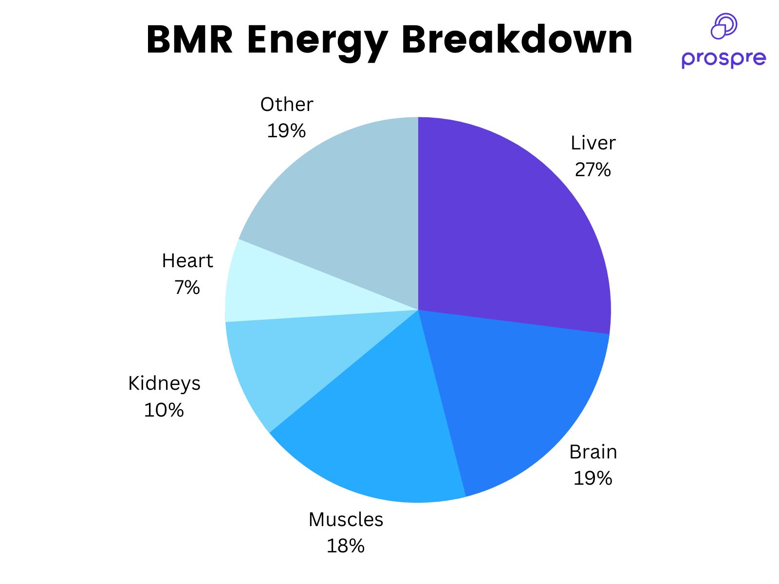 Passo 8: Otimizando o Consumo de Carboidratos Para Energia - inspiração 1