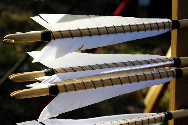 Escolha da Madeira Ideal: Ipê, Jatobá, Bambu ou Aroeira? - inspiração 1