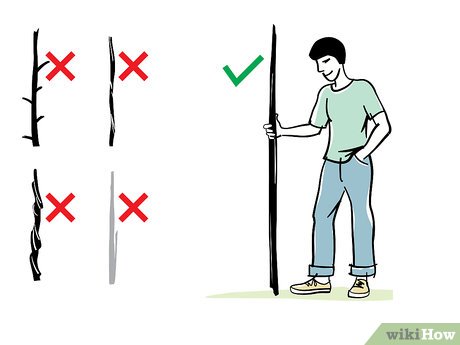 Escolha da Madeira Ideal: Ipê, Jatobá, Bambu ou Aroeira? - inspiração 2