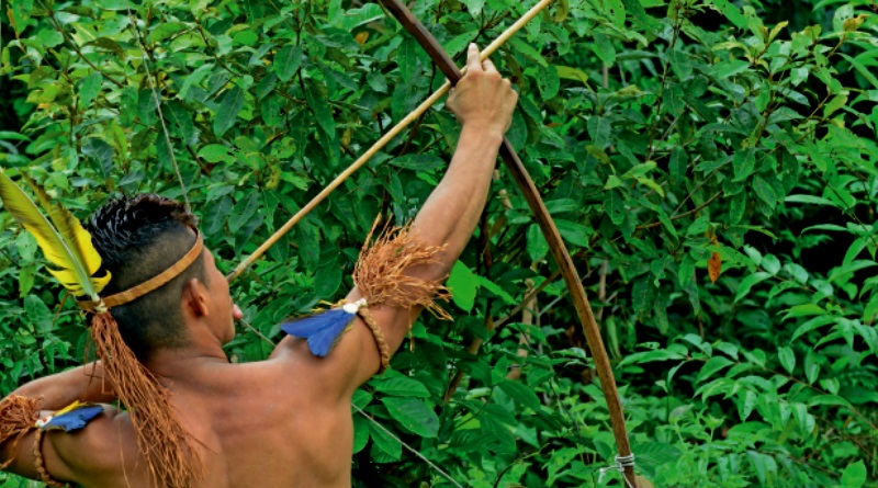 A Importância da Lua Minguante no Corte da Madeira - inspiração 3