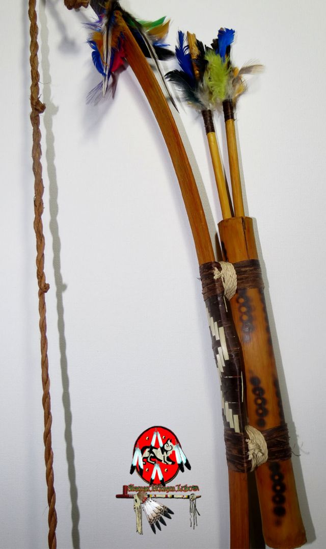 Estabilização com Penas: O Segredo do Voo Perfeito - inspiração 1