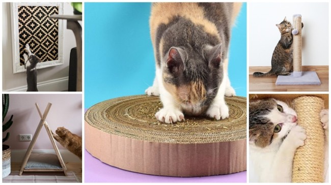 Reforços que Fazem a Diferença: Durabilidade em Primeiro Lugar - inspiração 2