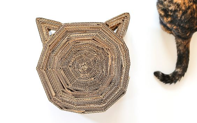 Onde Posicionar: Encontrando o Local Perfeito no Lar - inspiração 2