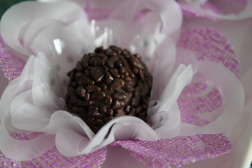 Brigadeiro Fit Vegano: Sem Lactose e Cheio de Sabor - inspiração 1