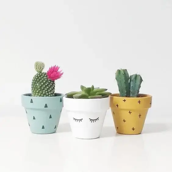 Ferramentas Essenciais: Da Esteca à Esponja, Seus Melhores Amigos - inspiração 2