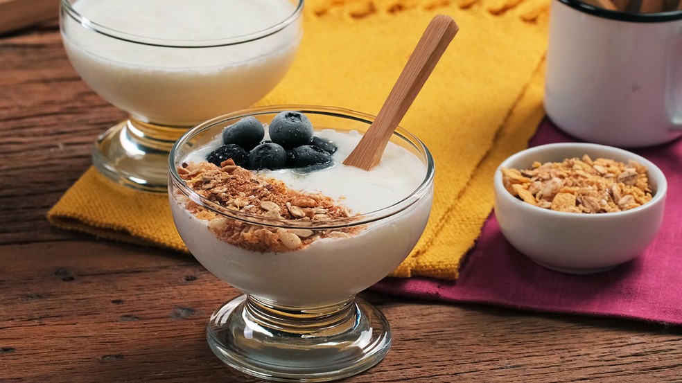 O Papel Crucial do Fermento ou Iogurte Base - inspiração 1