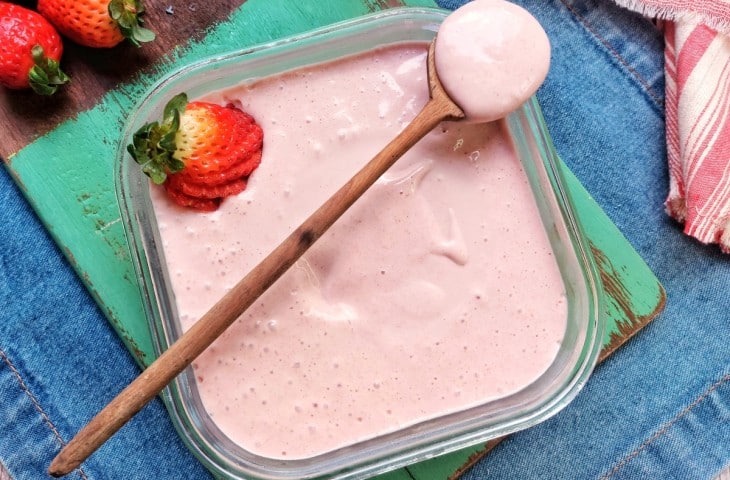 O Papel Crucial do Fermento ou Iogurte Base - inspiração 2