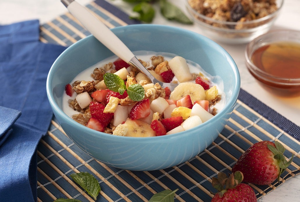 O Papel Crucial do Fermento ou Iogurte Base - inspiração 3