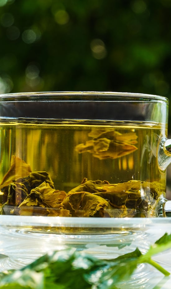 Dica #9: Frequência Inteligente: Saiba Quando Dar Uma Pausa - inspiração 2