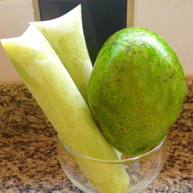 Dica #5: Como Envasar Sem Erro para um Geladinho Sem Bolhas - inspiração 3