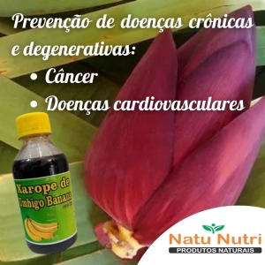 Dica de Mestre: Escolhendo o Umbigo da Bananeira Perfeito - inspiração 2