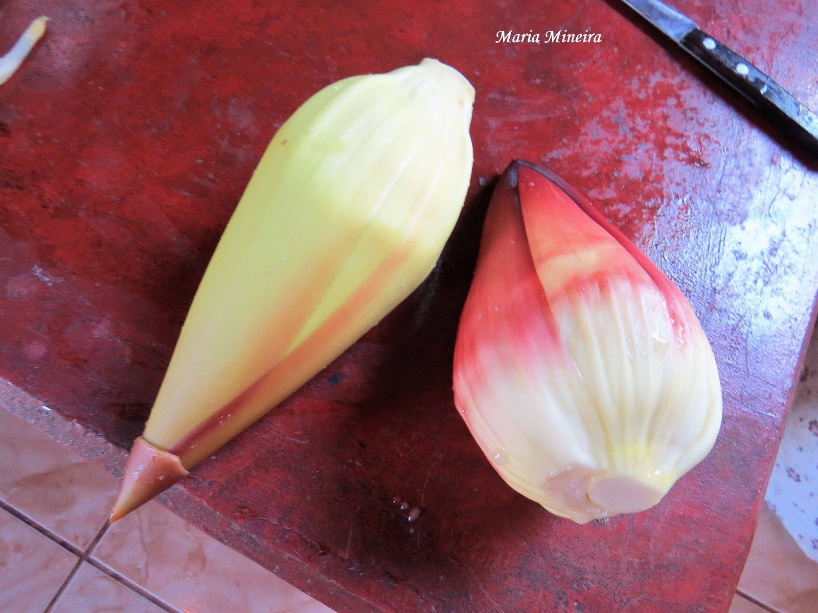 Potencializando o Xarope: Gengibre, Alho e Outros Ingredientes - inspiração 2