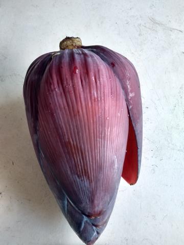 Xarope Turbinado: Receita para Combater a Tosse Noturna - inspiração 1