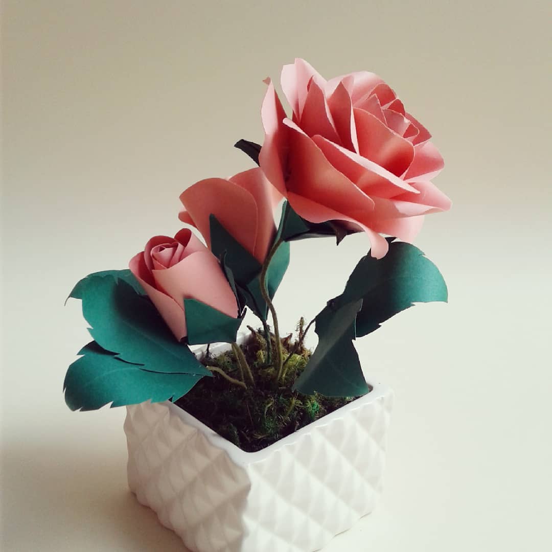Cuidados e Conservação das Suas Rosas de Papel - inspiração 1