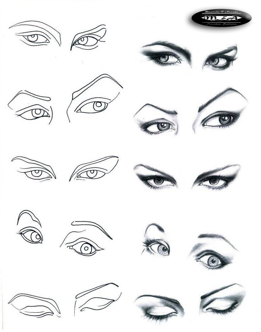 O Poder das Orelhas e o Contorno da Cabeça - inspiração 1