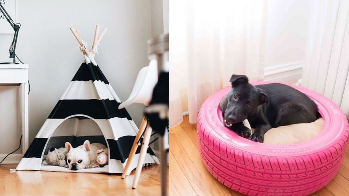 Escolhendo o Tamanho Ideal: Meça Seu Cão com Precisão - inspiração 1