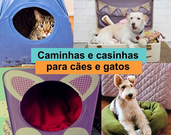 O Olhar do Dono: Observando a Reação do Seu Pet à Nova Camita - inspiração 1