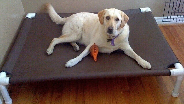 O Toque Final: Acabamentos que Valorizam a Peça - inspiração 1