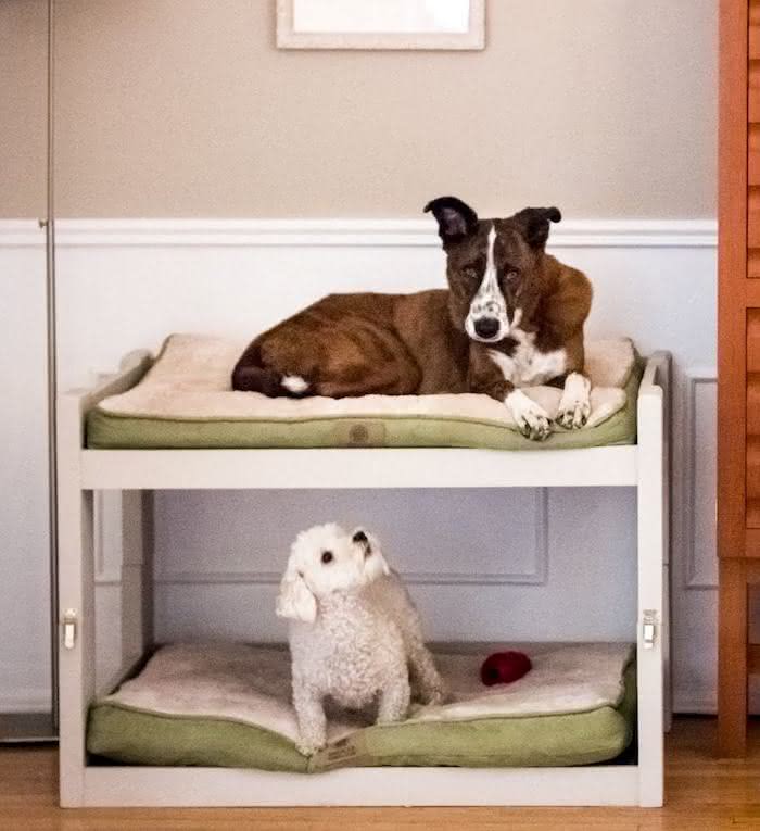 Personalizando a Camuflagem: Estampas e Cores que Combinam com Sua Casa - inspiração 1