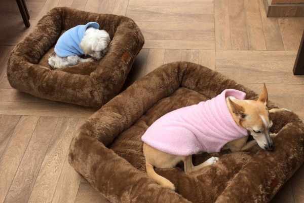 Personalizando a Camuflagem: Estampas e Cores que Combinam com Sua Casa - inspiração 2