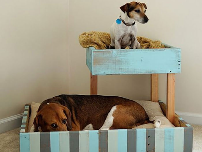 Ergonomia e Saúde: Por Que uma Boa Cama é Essencial para Seu Cão - inspiração 1