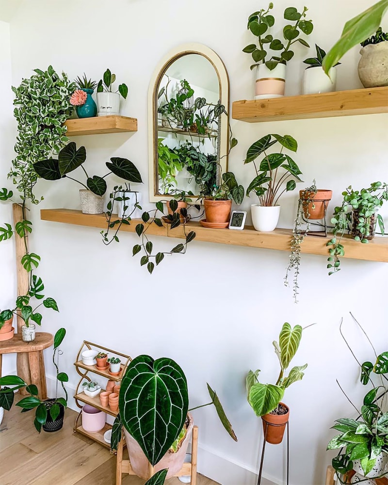 Estilo Urban Jungle: A Selva Dentro de Casa - inspiração 2