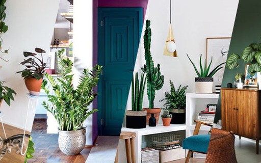 Plantas Pendentes: Um Toque Boêmio e Aconchegante - inspiração 1